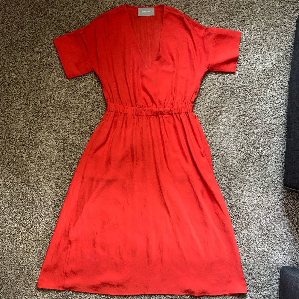 Everlane dress
